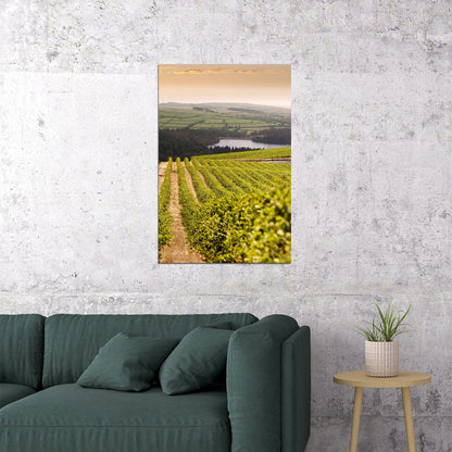Napa Valley Vineyard Nature Garden Poster Wall Art Print Home Wall Decor - xonomax