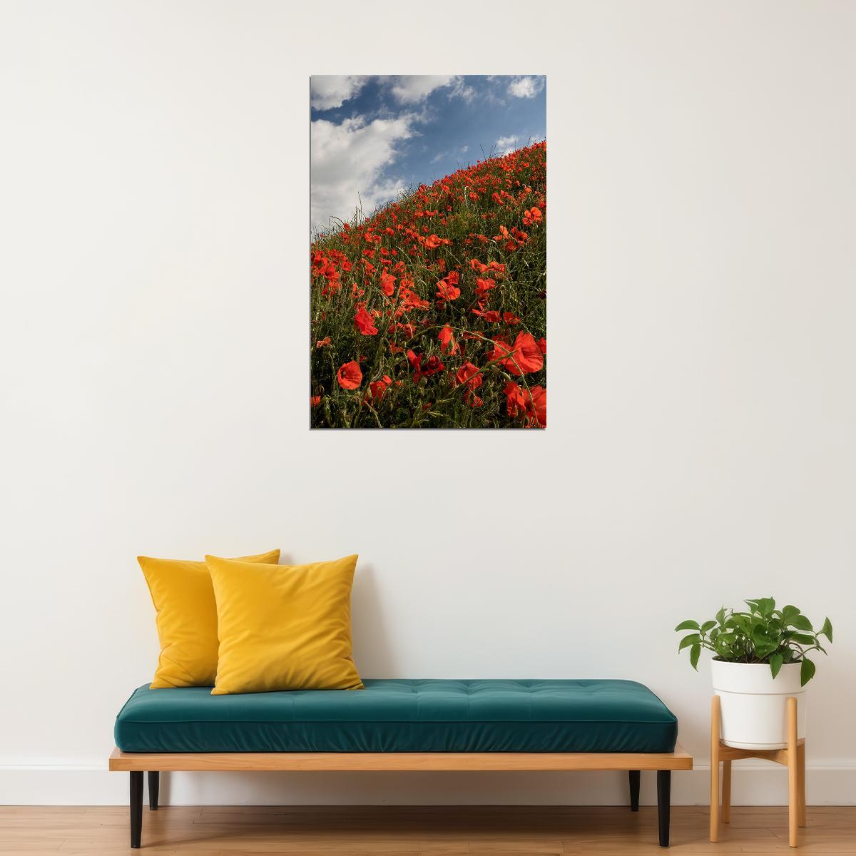 Poppy Field Under The Sky Flowers Nature Poster Wall Art Print Home Wall Decor - xonomax
