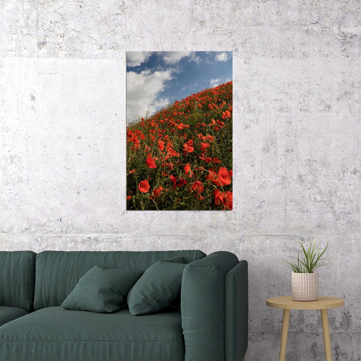 Poppy Field Under The Sky Flowers Nature Poster Wall Art Print Home Wall Decor - xonomax