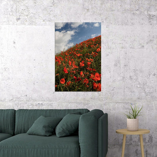 Poppy Field Under The Sky Flowers Nature Poster Wall Art Print Home Wall Decor - xonomax