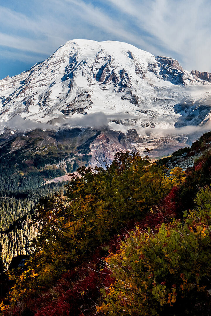 Mount Rainier Landscape Nature Poster Wall Art Print Home Wall Decor - xonomax