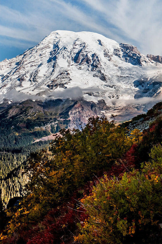 Mount Rainier Landscape Nature Poster Wall Art Print Home Wall Decor - xonomax