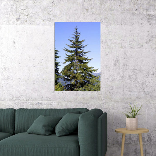 Green Leaves Douglas Fir Tree Nature Poster Wall Art Print Home Wall Decor - xonomax