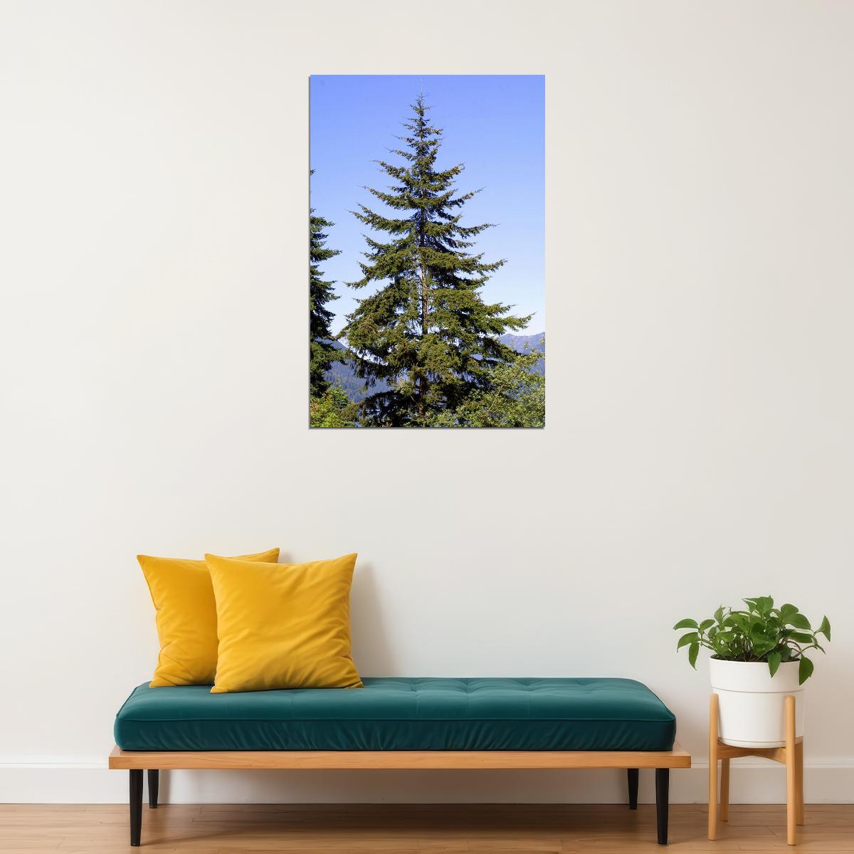 Green Leaves Douglas Fir Tree Nature Poster Wall Art Print Home Wall Decor - xonomax