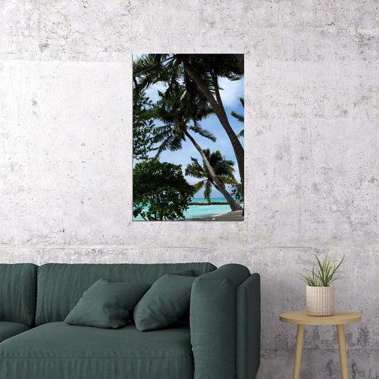 Palm Tree On Maldives Nature Trees Poster Wall Art Print Home Wall Decor - xonomax
