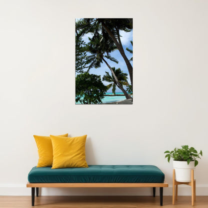 Palm Tree On Maldives Nature Trees Poster Wall Art Print Home Wall Decor - xonomax