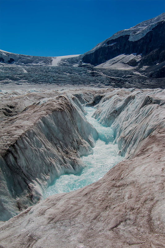 Alberta's Athabasca Glacier Landscape Mountains Poster Wall Art Print Home Wall Decor - xonomax