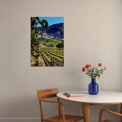 Vineyards Of Okanagan Valley Canada Fruit Poster Wall Art Print Home Wall Decor - xonomax