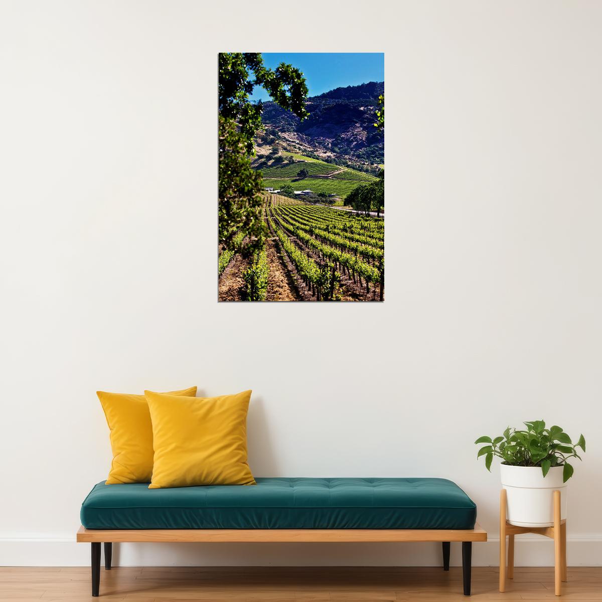 Vineyards Of Okanagan Valley Canada Fruit Poster Wall Art Print Home Wall Decor - xonomax