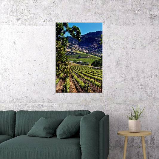 Vineyards Of Okanagan Valley Canada Fruit Poster Wall Art Print Home Wall Decor - xonomax