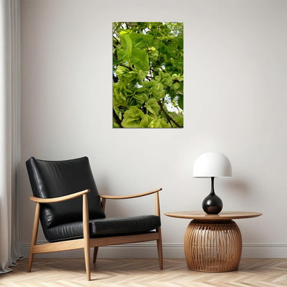 Flowers And Buds Of Wych Elm Green Leaves Poster Wall Art Print Home Wall Decor - xonomax