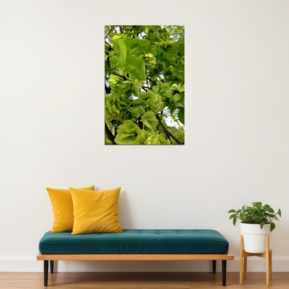 Flowers And Buds Of Wych Elm Green Leaves Poster Wall Art Print Home Wall Decor - xonomax