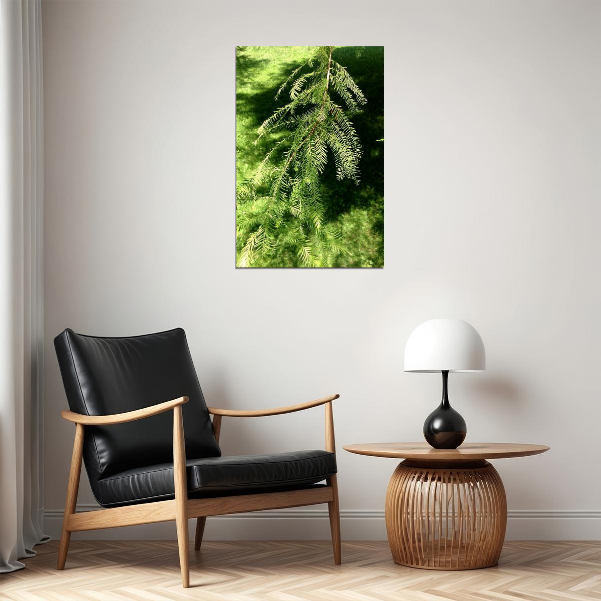 Bald Cypresses On Lake Waccamaw Landscape Poster Wall Art Print Home Wall Decor - xonomax
