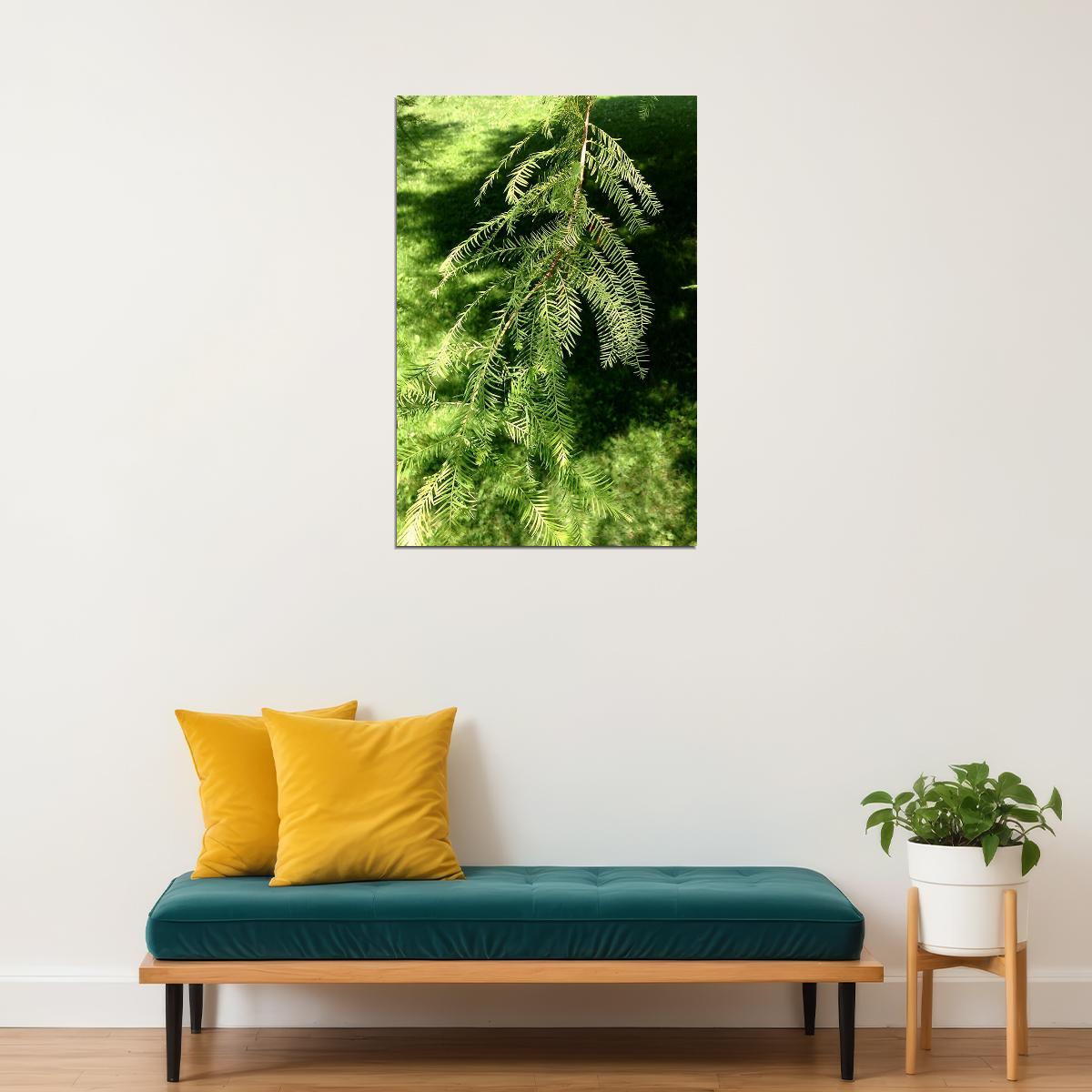 Bald Cypresses On Lake Waccamaw Landscape Poster Wall Art Print Home Wall Decor - xonomax