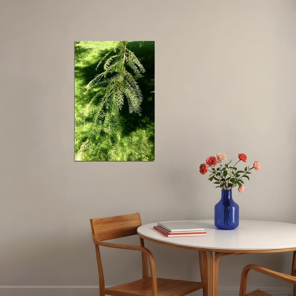 Bald Cypresses On Lake Waccamaw Landscape Poster Wall Art Print Home Wall Decor - xonomax
