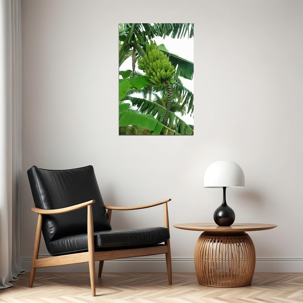 Banana Plants Colombia Sweet Fruit Picture Poster Wall Art Print Home Wall Decor - xonomax