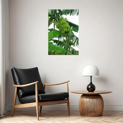 Banana Plants Colombia Sweet Fruit Picture Poster Wall Art Print Home Wall Decor - xonomax