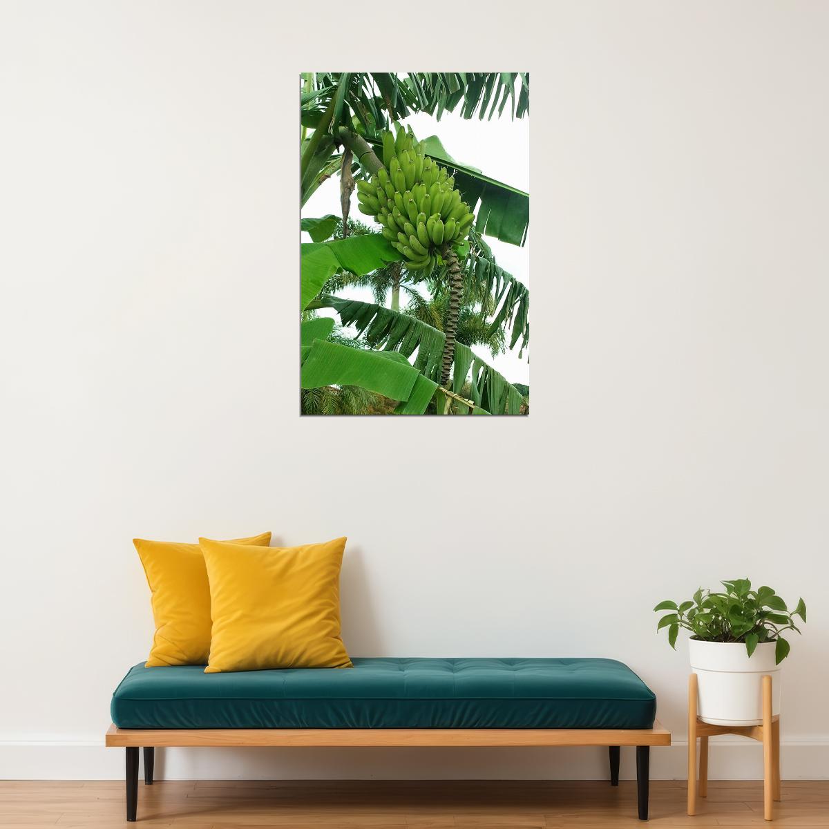 Banana Plants Colombia Sweet Fruit Picture Poster Wall Art Print Home Wall Decor - xonomax