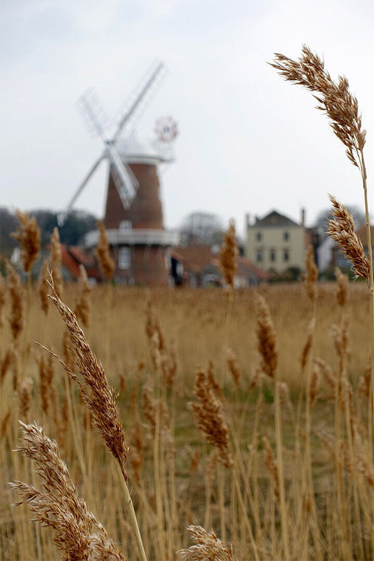 Wheat Grasses Await Approaching Combine At Harvest Poster Wall Art Print Home Wall Decor - xonomax