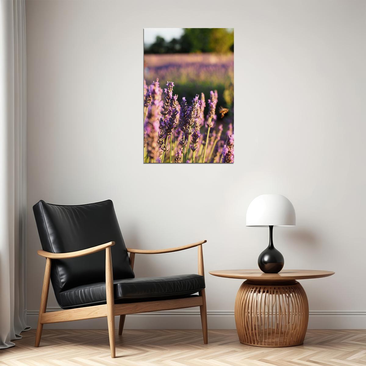 Lavender Crop In Bloom Fragrant Plants Nature Poster Wall Art Print Home Wall Decor - xonomax