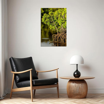 Mangroves Growing In Swamp Poster Wall Art Print Home Wall Decor - xonomax