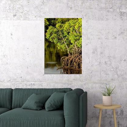 Mangroves Growing In Swamp Poster Wall Art Print Home Wall Decor - xonomax
