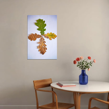 Four Grain Oak Tree Leaves Changing Color Poster Wall Art Print Home Wall Decor - xonomax