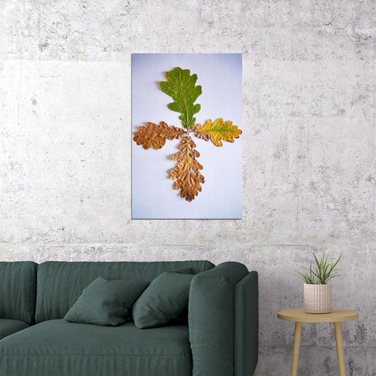 Four Grain Oak Tree Leaves Changing Color Poster Wall Art Print Home Wall Decor - xonomax