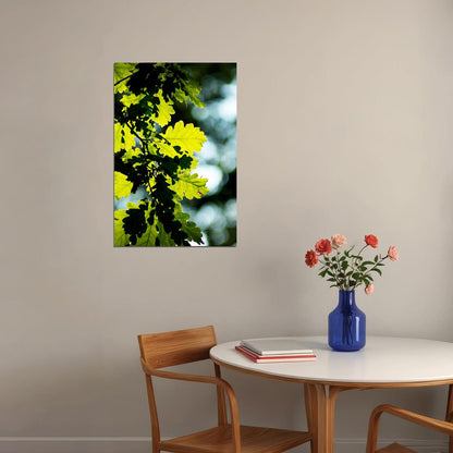 Oak Tree Leaves Changing Color Picture Poster Wall Art Print Home Wall Decor - xonomax