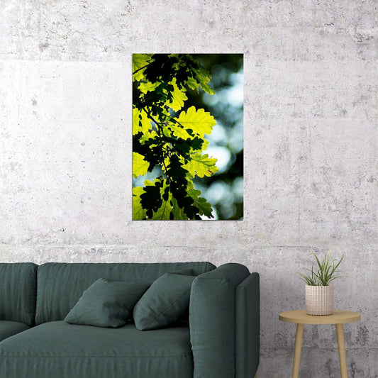 Oak Tree Leaves Changing Color Picture Poster Wall Art Print Home Wall Decor - xonomax