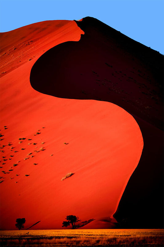 Deserted Field Desert Dunes In Namibia Poster Wall Art Print Home Wall Decor - xonomax