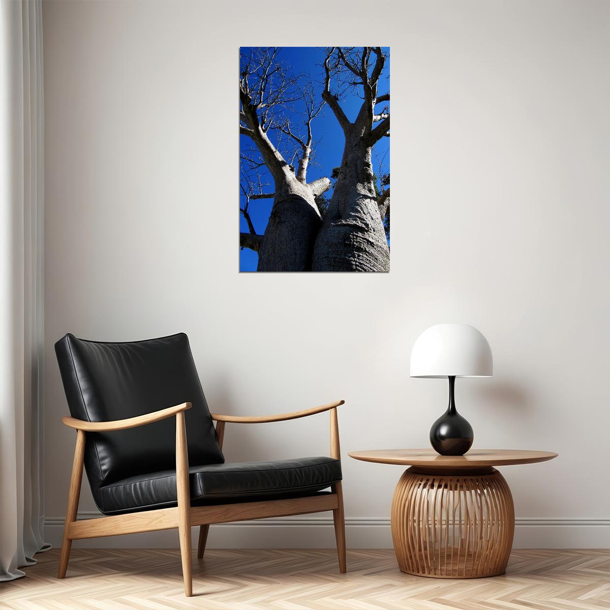 Baobab Tree In Leaf Bottom Up View Poster Wall Art Print Home Wall Decor - xonomax