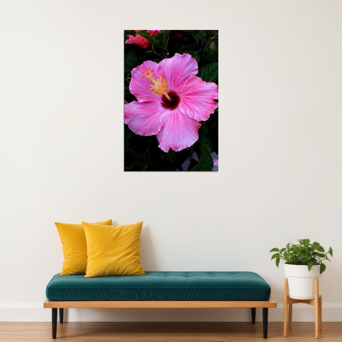 Hibiscus Flower Scented Plants Poster Wall Art Print Home Wall Decor - xonomax