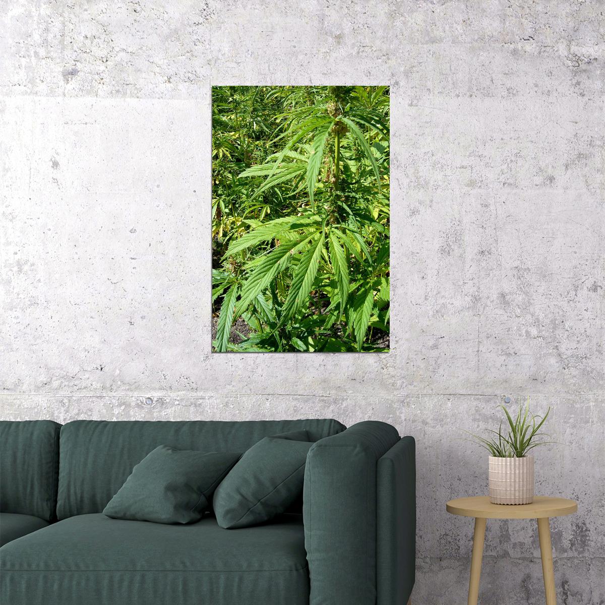 Hemp Plants Delightful Green Plants Paintig Poster Wall Art Print Home Wall Decor - xonomax