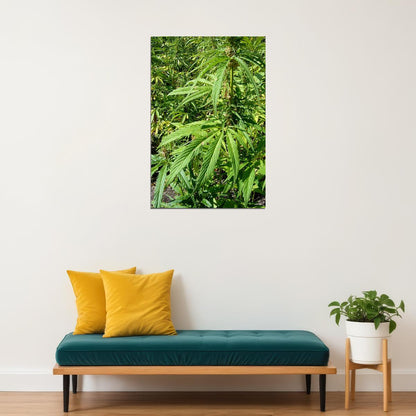 Hemp Plants Delightful Green Plants Paintig Poster Wall Art Print Home Wall Decor - xonomax