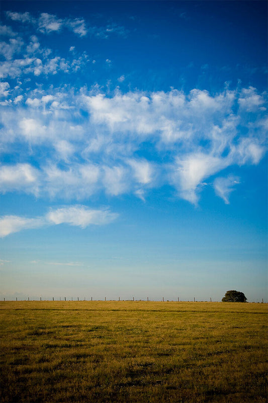 Sky Over Wheat Fields Landscape Photograph Poster Wall Art Print Home Wall Decor - xonomax