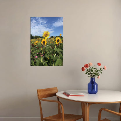 Sunflower Field Landscape Photograph Poster Wall Art Print Home Wall Decor - xonomax