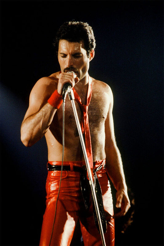 Freddie Mercury Rock Band Legendary Pop Artist Poster Wall Art Print Home Wall Decor - xonomax