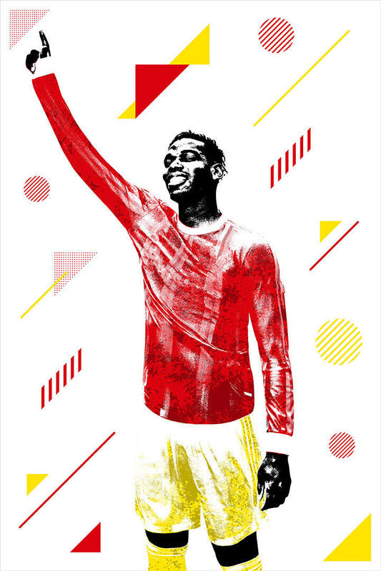 Paul Pogba France Football Soccer Player Poster Wall Art Print Home Wall Decor - xonomax