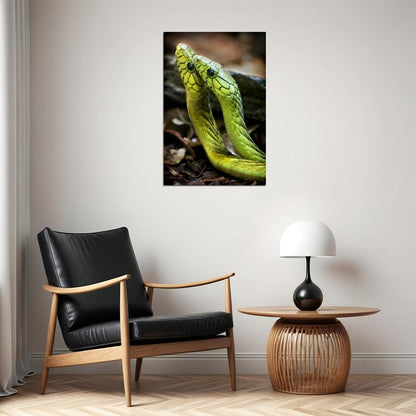 Animals Snakes Reptiles Nature Poster Wall Art Print Home Wall Decor - xonomax
