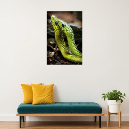 Animals Snakes Reptiles Nature Poster Wall Art Print Home Wall Decor - xonomax