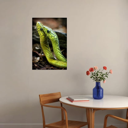 Animals Snakes Reptiles Nature Poster Wall Art Print Home Wall Decor - xonomax