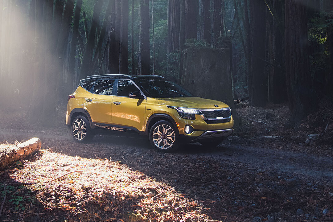 Kia Seltos 5 Seater Suv Car Poster Wall Art Print Home Wall Decor - xonomax