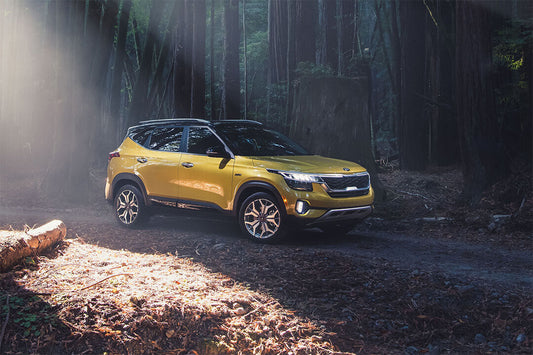 Kia Seltos 5 Seater Suv Car Poster Wall Art Print Home Wall Decor - xonomax