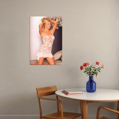 Lisa Dergan Sexy Female Model With Transparent Dress Poster Wall Art Print Home Wall Decor - xonomax