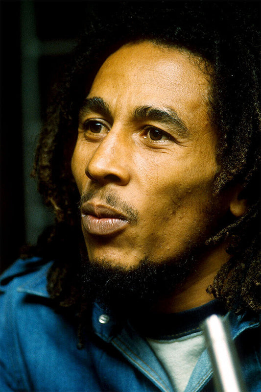 Bob Marley Songs Of Freedom Music Album Photo Poster Wall Art Print Home Wall Decor - xonomax