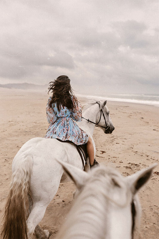 Down By The Sea Lady With Horse Nature Photo Poster Wall Art Print Home Wall Decor - xonomax