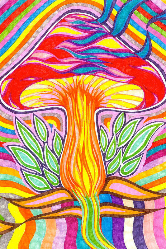 Ripples Colorful Psychedelic Design Poster Wall Art Print Home Wall Decor - xonomax