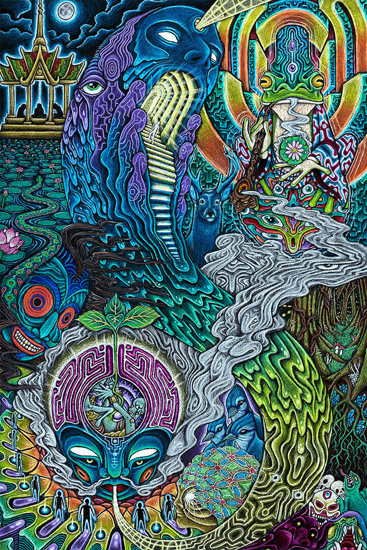 Voyager Psychedelic Design Picture Poster Wall Art Print Home Wall Decor - xonomax