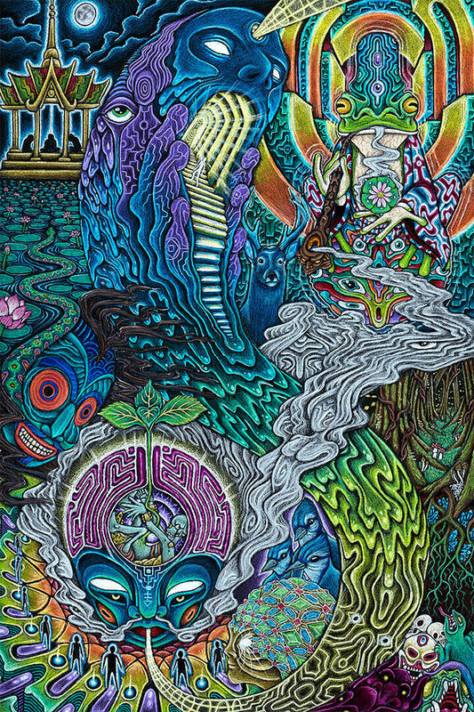 Voyager Psychedelic Design Picture Poster Wall Art Print Home Wall Decor - xonomax